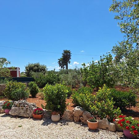 Baciati Dal Sole Daire Martina Franca Dış mekan fotoğraf