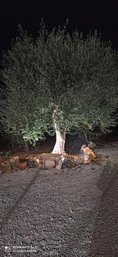 Baciati Dal Sole Daire Martina Franca Dış mekan fotoğraf