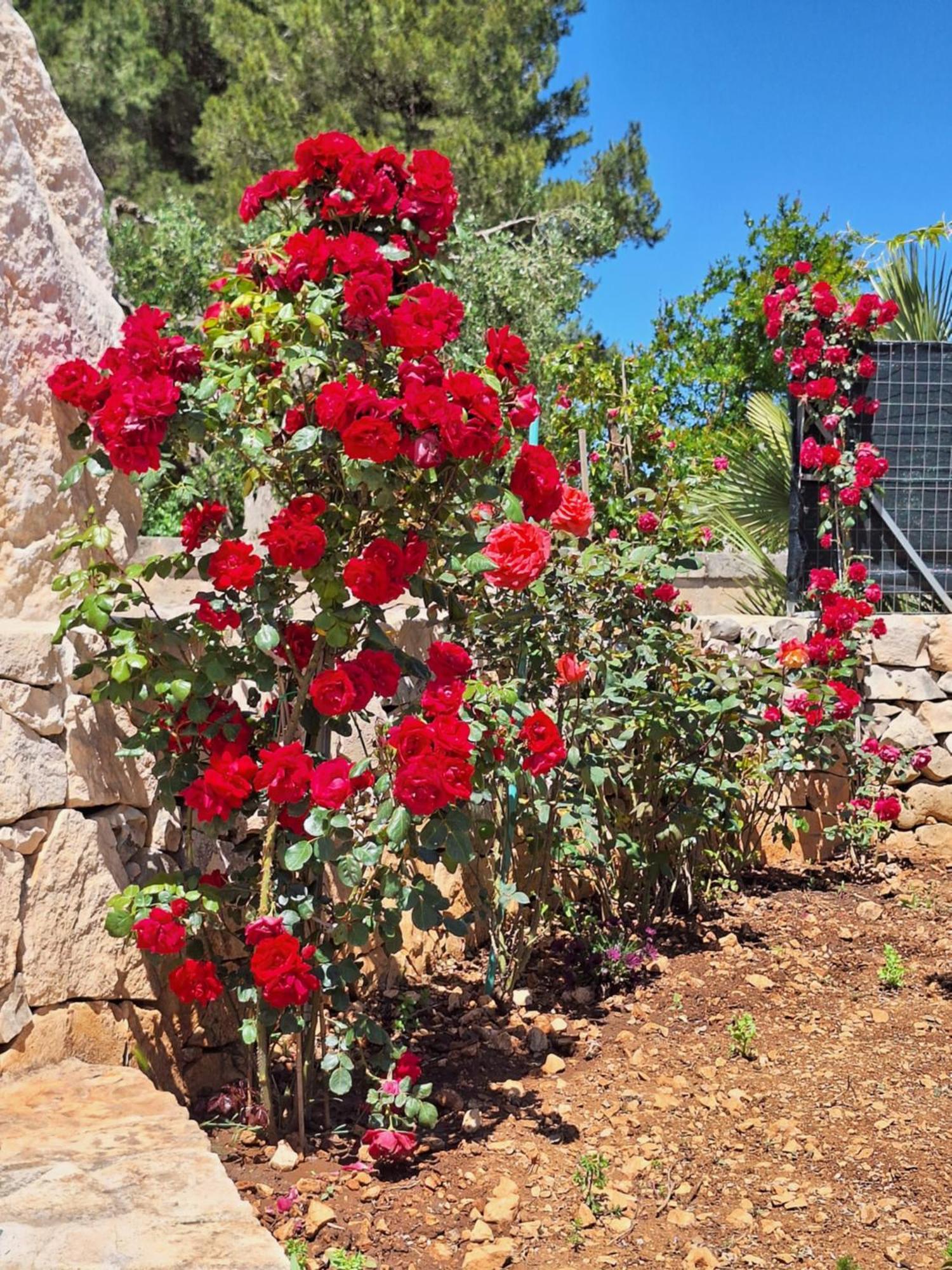 Baciati Dal Sole Daire Martina Franca Dış mekan fotoğraf