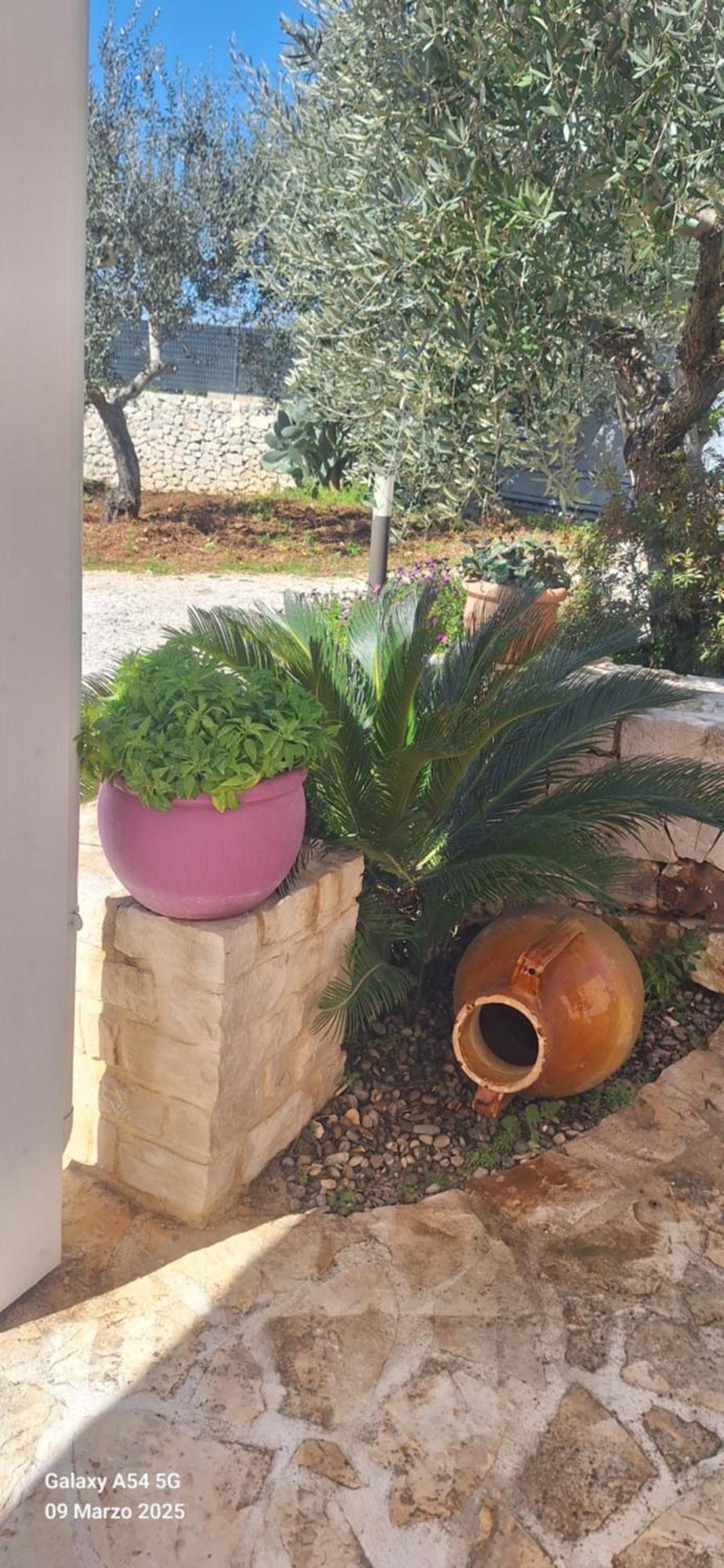 Baciati Dal Sole Daire Martina Franca Dış mekan fotoğraf